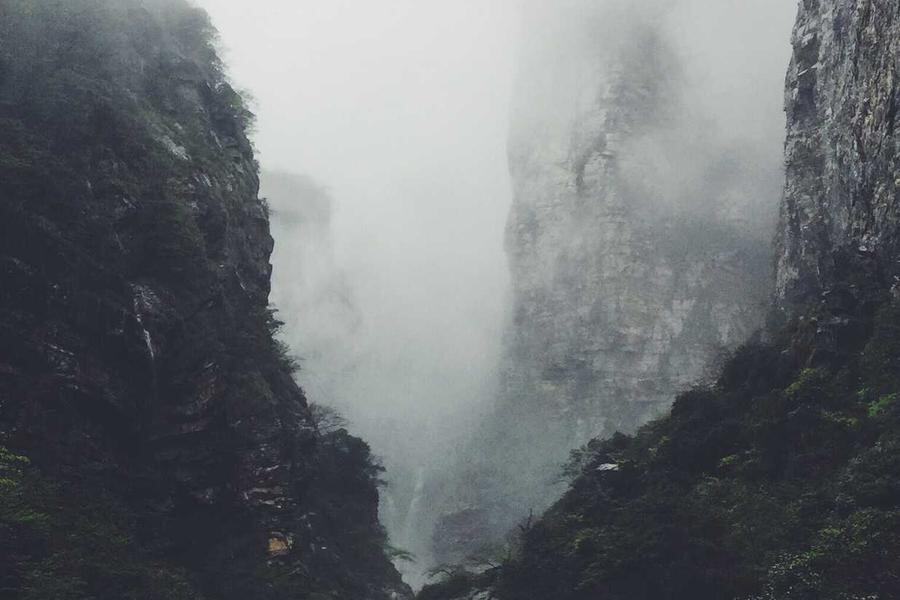 蓝图平台价值观与协作场景